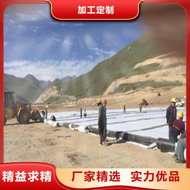 【膨润土防水毯通风降噪丝网一个起售】同城制造商