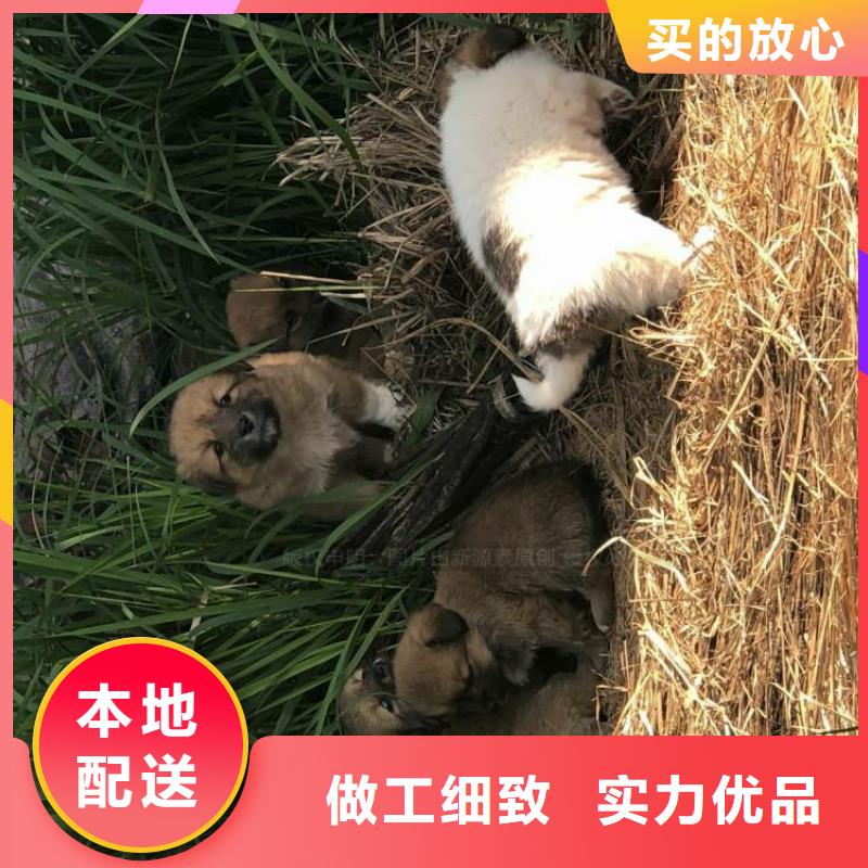 【无醇燃料-【生物甲酯燃料】好品质经得住考验】支持加工定制