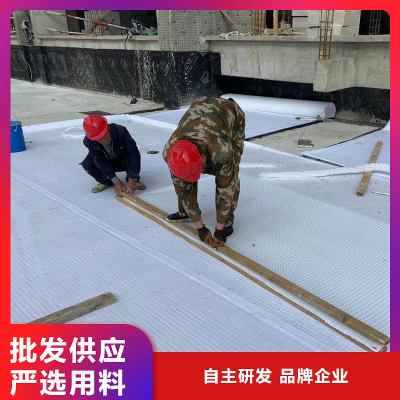 排水板塑料排水板匠心工艺当地经销商