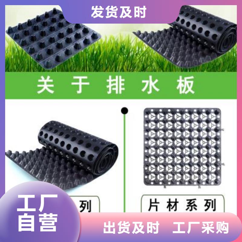 【排水板】-疏水板好厂家有担当现货充裕