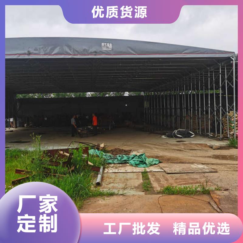 雨棚停车棚支持定制加工当地生产商