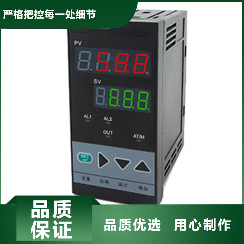 现货供应SWP-ASR110-1-0/AO4_诚信企业当地制造商