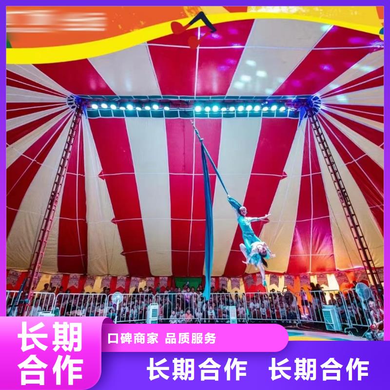 马戏团/羊驼出租企鹅公司一站搞定