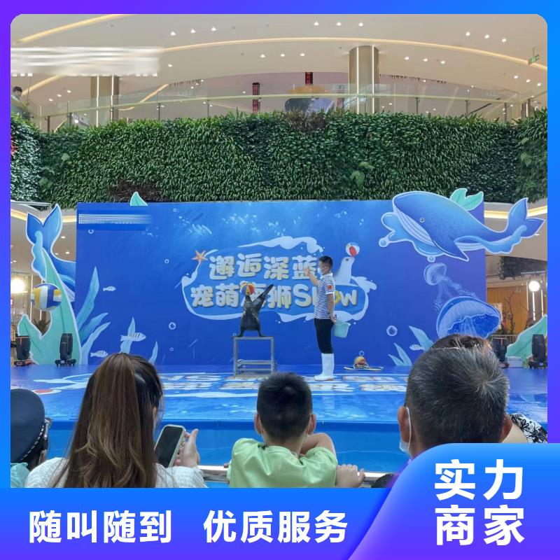 海洋主题动物表演杂技表演品质好欢迎询价