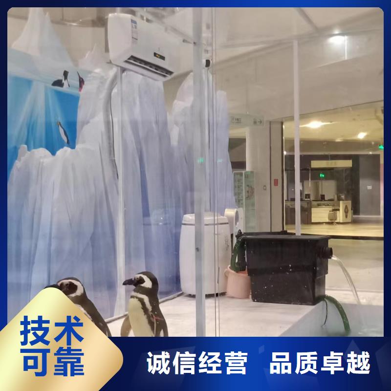 海洋主题动物表演出租羊驼放心之选信誉良好