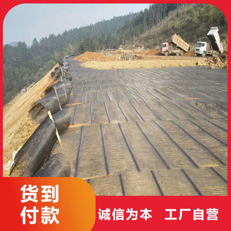 土工格栅\抗裂贴复合土工膜量大从优厂家实力大