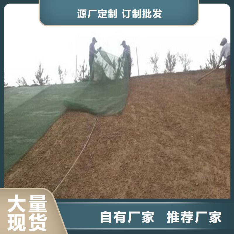 土工布_防水板一站式采购商家本地经销商