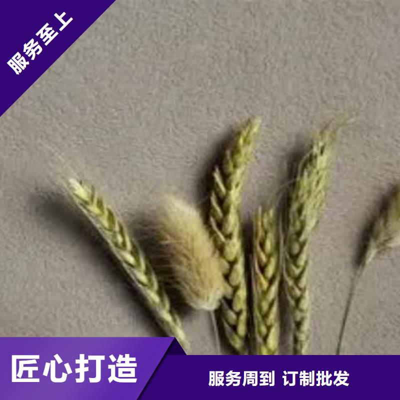雅晶石生态灰泥漆一件也发货优选原材