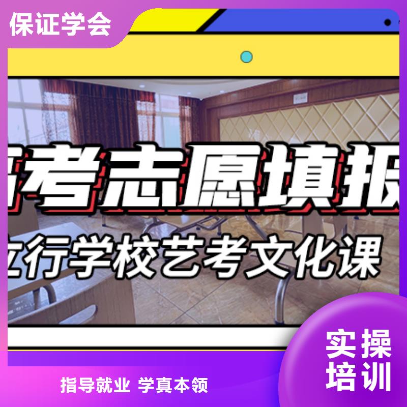 艺术生文化课艺考理论+实操当地生产厂家