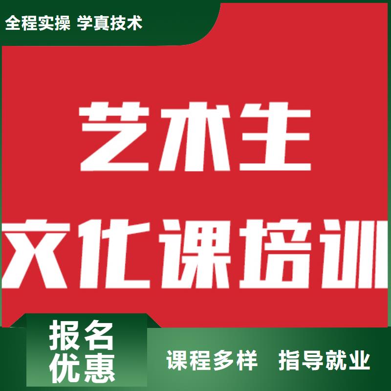 艺考文化课培训艺考文化课冲刺班理论+实操免费试学