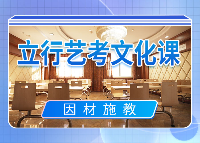 艺考生文化课冲刺【艺考培训机构】学真技术