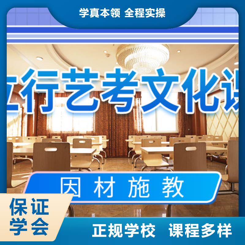 艺考文化课补习艺考培训学真技术老师专业