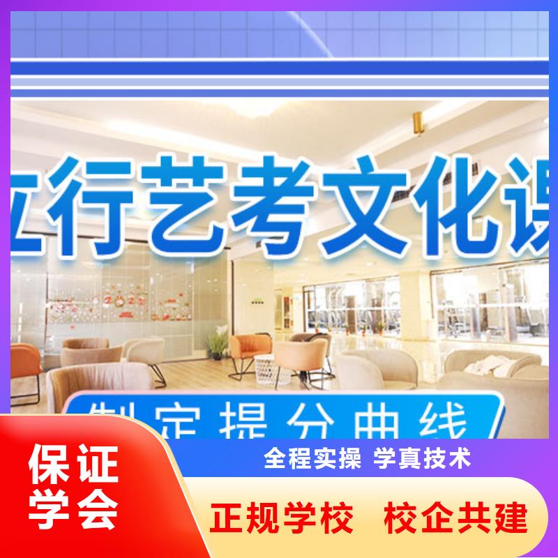 【艺考文化课补习艺考文化课百日冲刺班老师专业】课程多样
