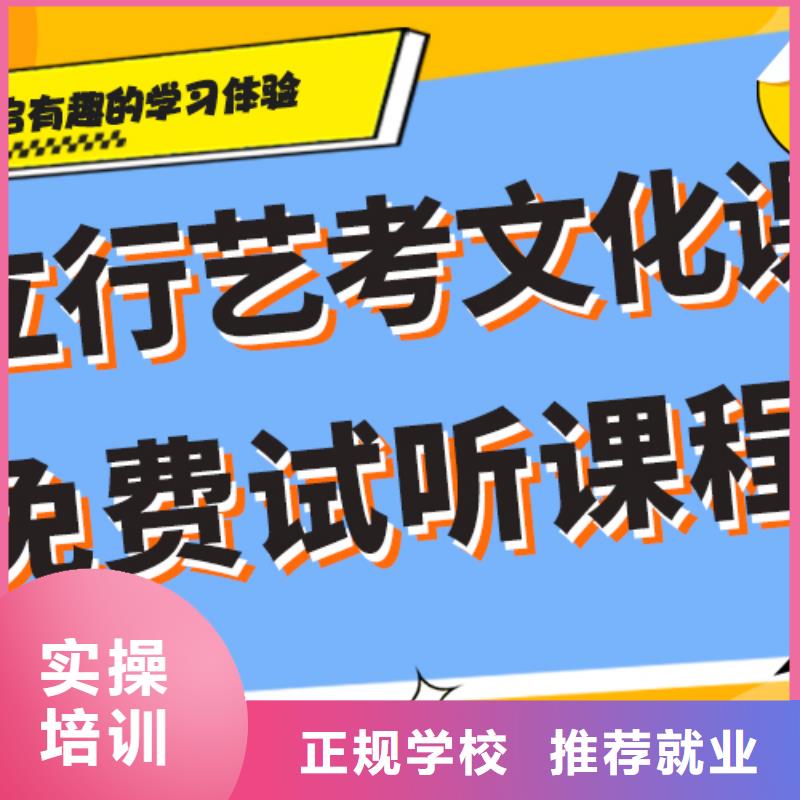 艺体生文化课培训补习哪个好精准的复习计划当地生产商