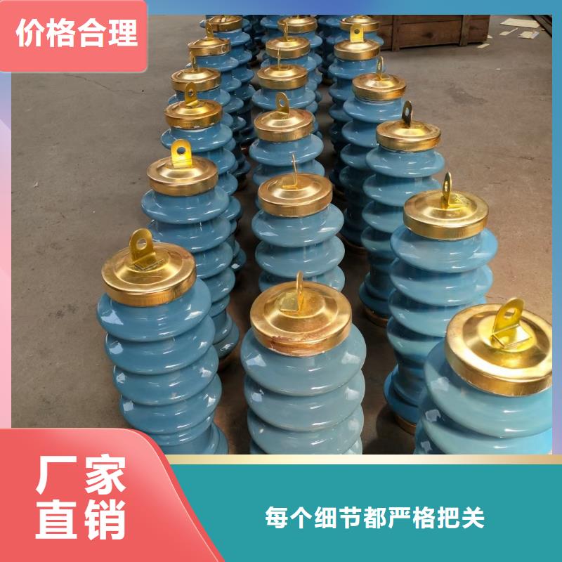 氧化锌避雷器Y2.5WZ-16.7/40当地生产商