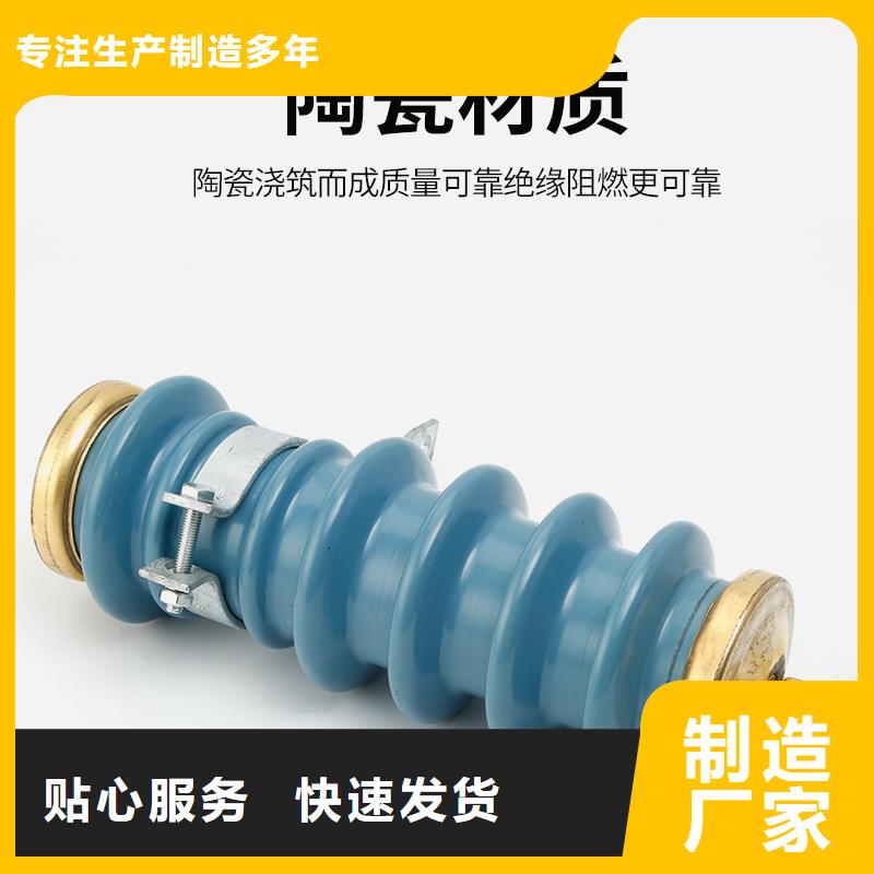 FCD-10瓷吹避雷器本地品牌