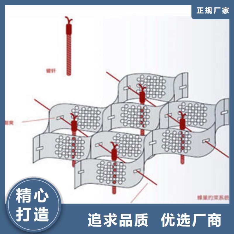 蜂巢格室植草格快速生产附近经销商