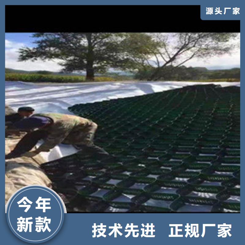 【蜂巢格室土工格室现货齐全售后无忧】厂家定制