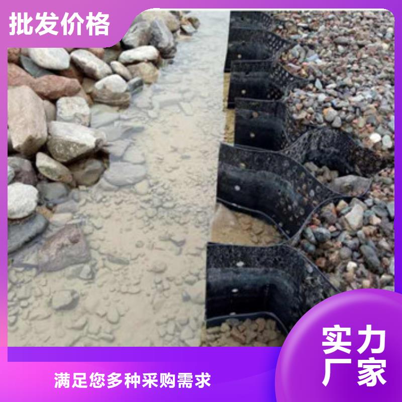 蜂巢格室【双向塑料土工格栅】实体厂家买的放心安兴用的舒心