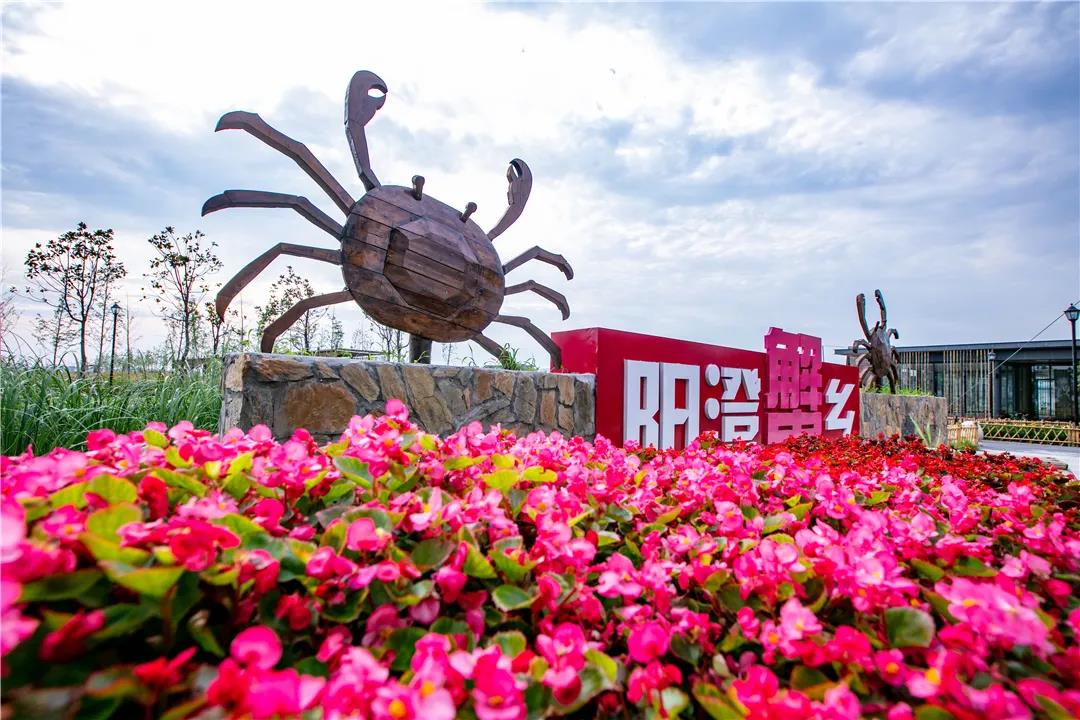 阳澄湖大闸蟹哪里正宗